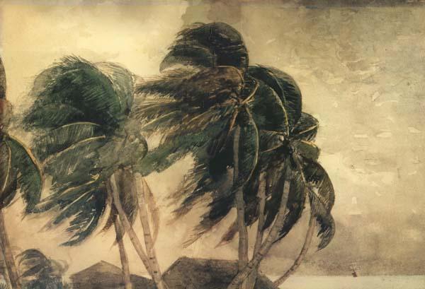 Winslow Homer A Norther,Key West (mk44) Sweden oil painting art
